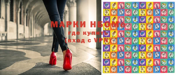 стаф Магас