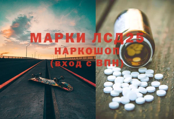 стаф Магас