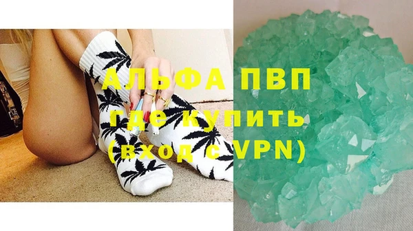 прущие грибы Лиски