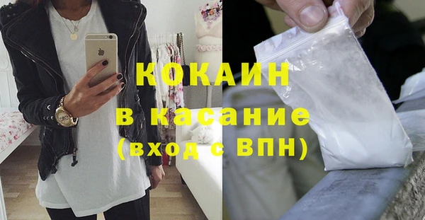 прущие грибы Лиски