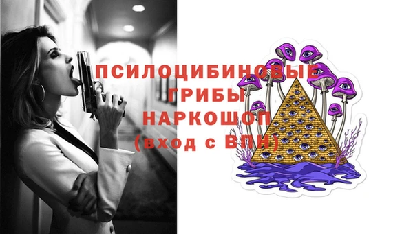 прущие грибы Лиски