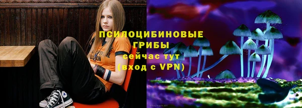 прущие грибы Лиски